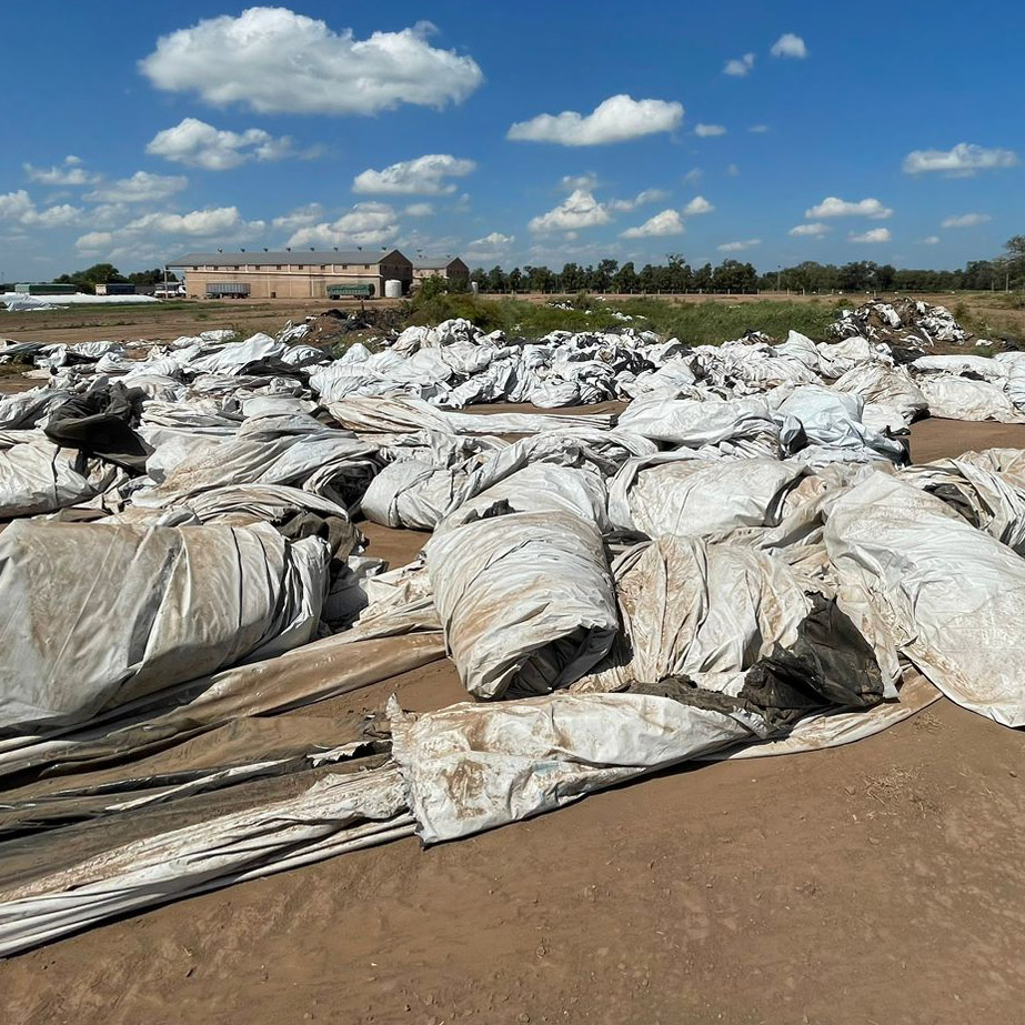 Used silobags discarded in the field in Chaco